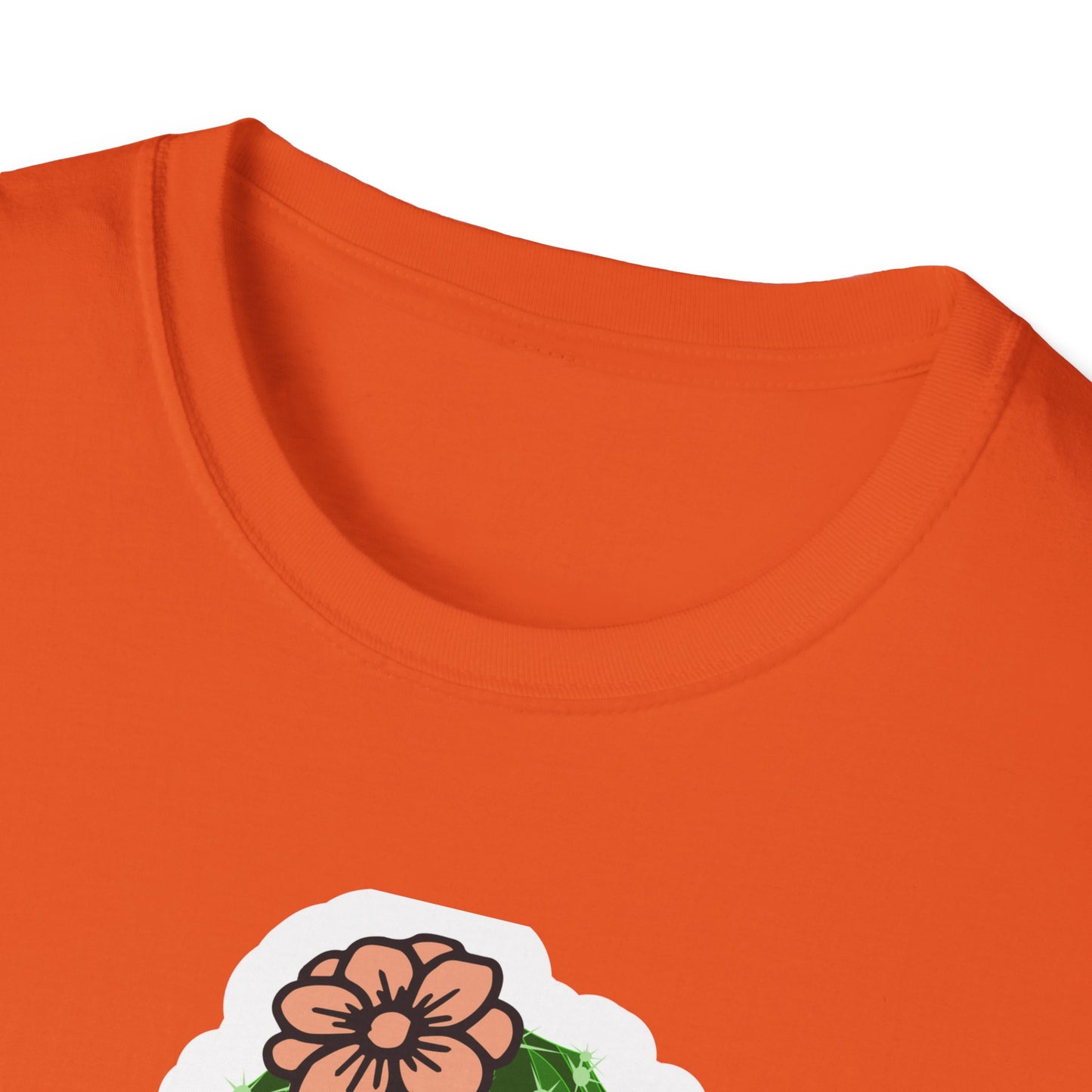Unisex Softstyle T-Shirt Free Hugs, Cactus Tee Shirt