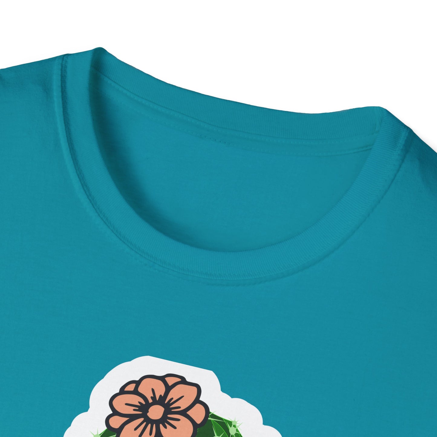 Unisex Softstyle T-Shirt Free Hugs, Cactus Tee Shirt