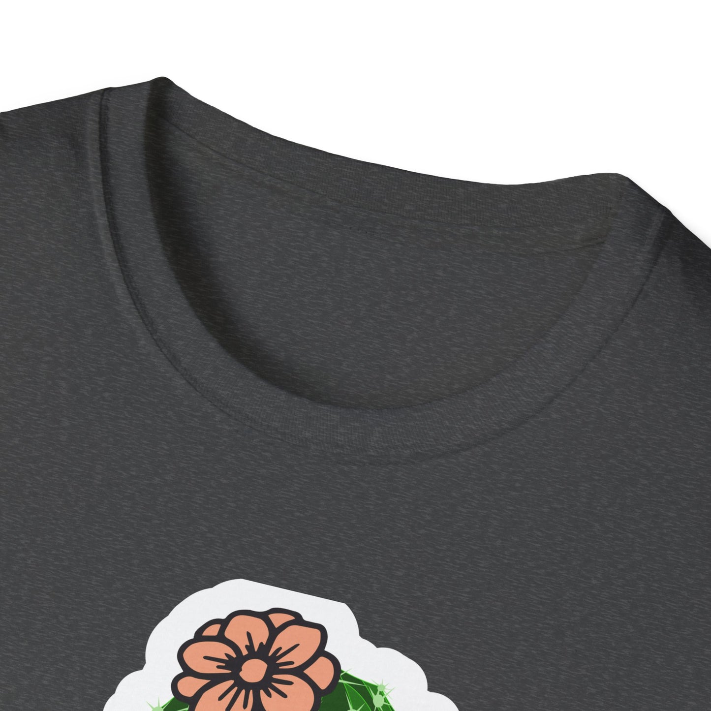 Unisex Softstyle T-Shirt Free Hugs, Cactus Tee Shirt