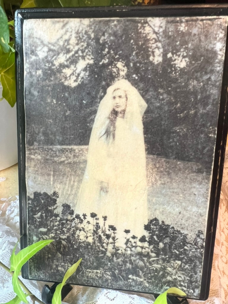 Dark Academia, Sad Ghost Bride, Wooden Wall Plaque