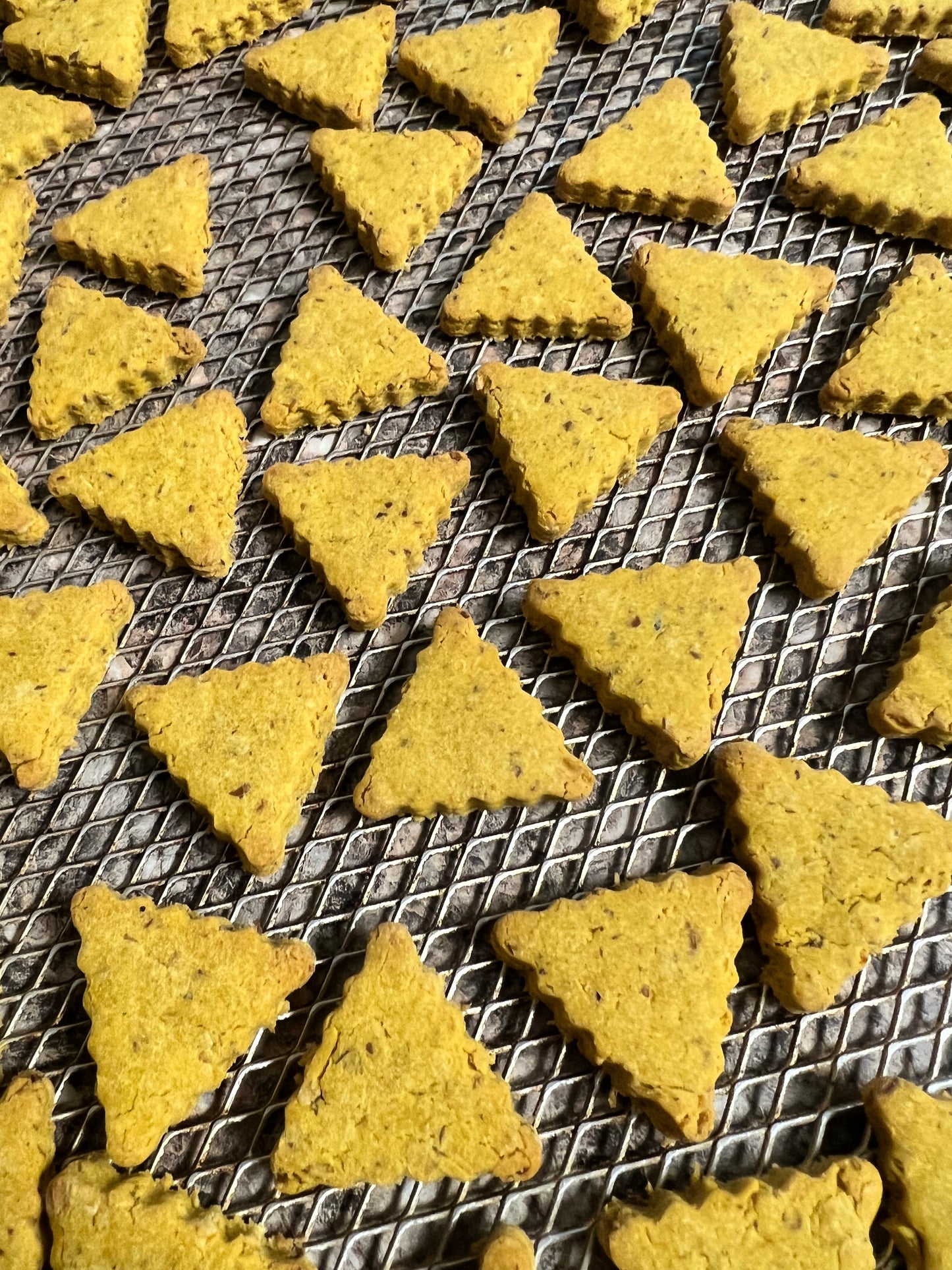 Dog Cookies Pumpkin Pie Homemade Limited Ingredient Natural No Wheat, Soy or Corn - A Portion of Proceeds Go To Animal Rescue Groups