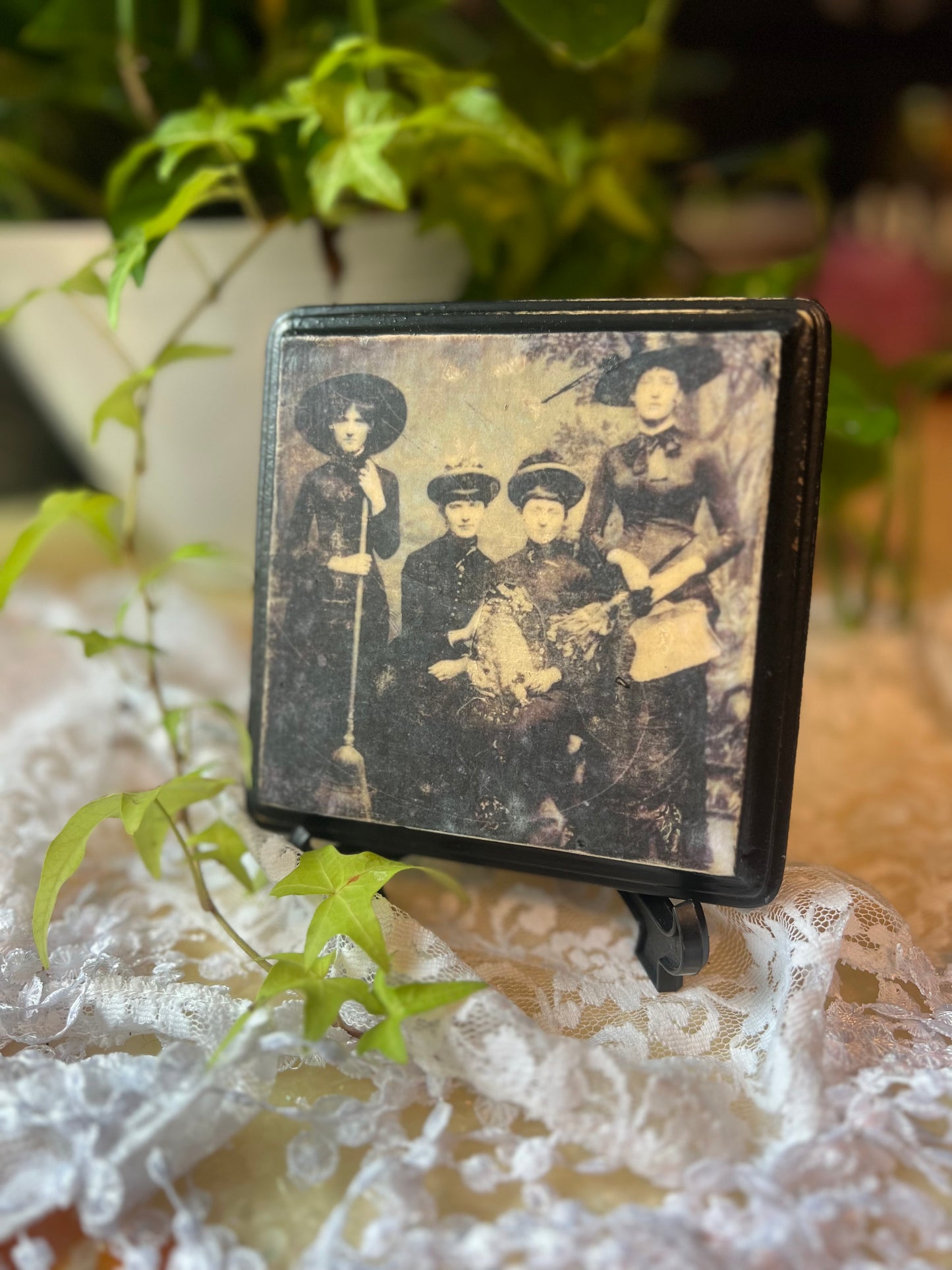 Dark Academia, Wall Plaque, Tabletop Display, Witches' Coven