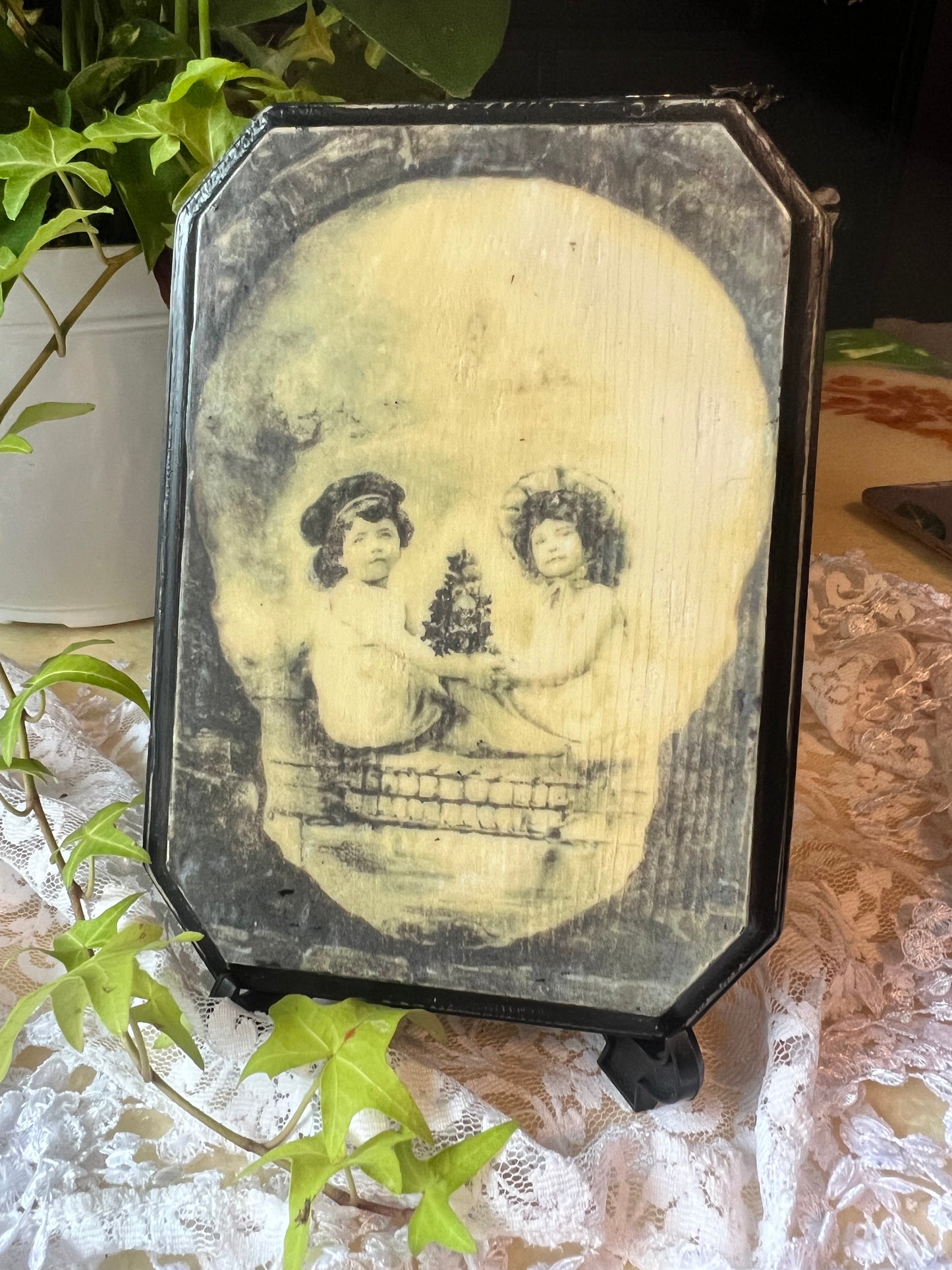 Dark Academia, Optical Illusion, Skull Photo, Wooden Plaque, Wall Hanging, Tabletop Display