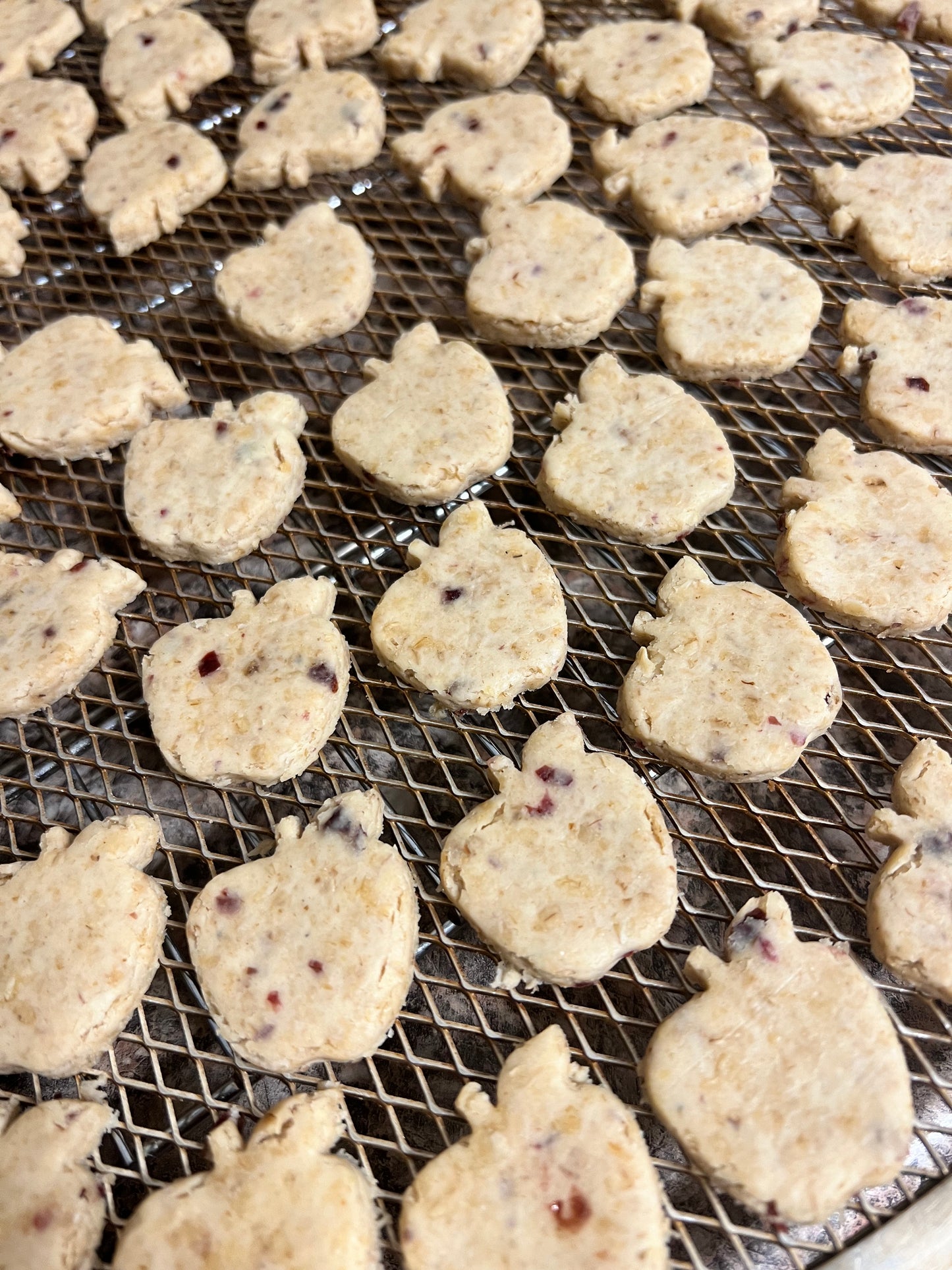 Advent Calendar Cookie Refills - Dog Treats