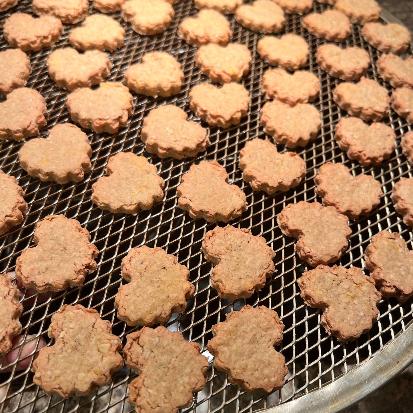 Monthly Subscription Box - Sherman's Barkery Cookies