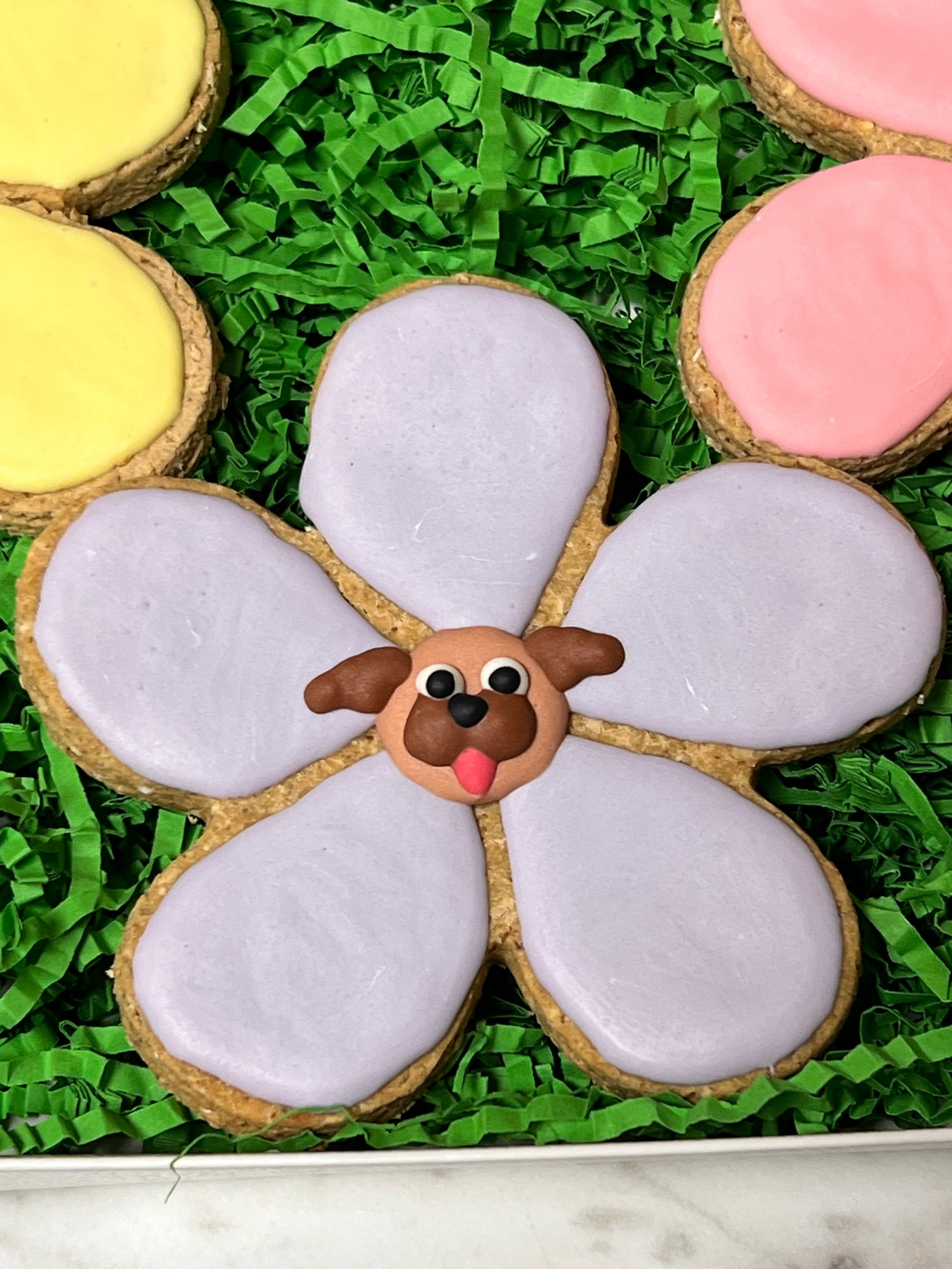 Frosted Cookie Box - Blooming Pugs Cookie Box