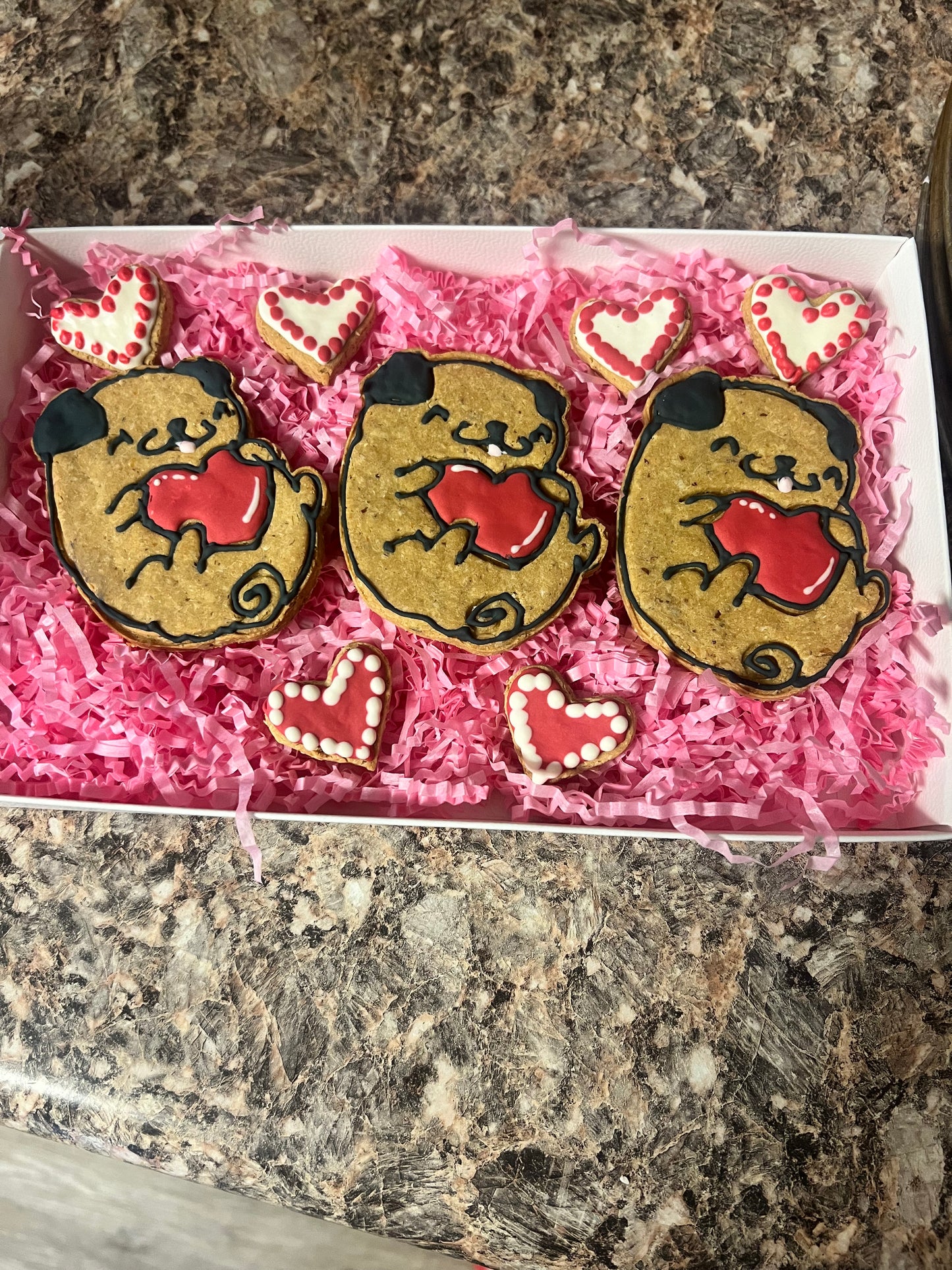 Dog Treats - Box of Frosted Cookies, Katie Louise Cookies