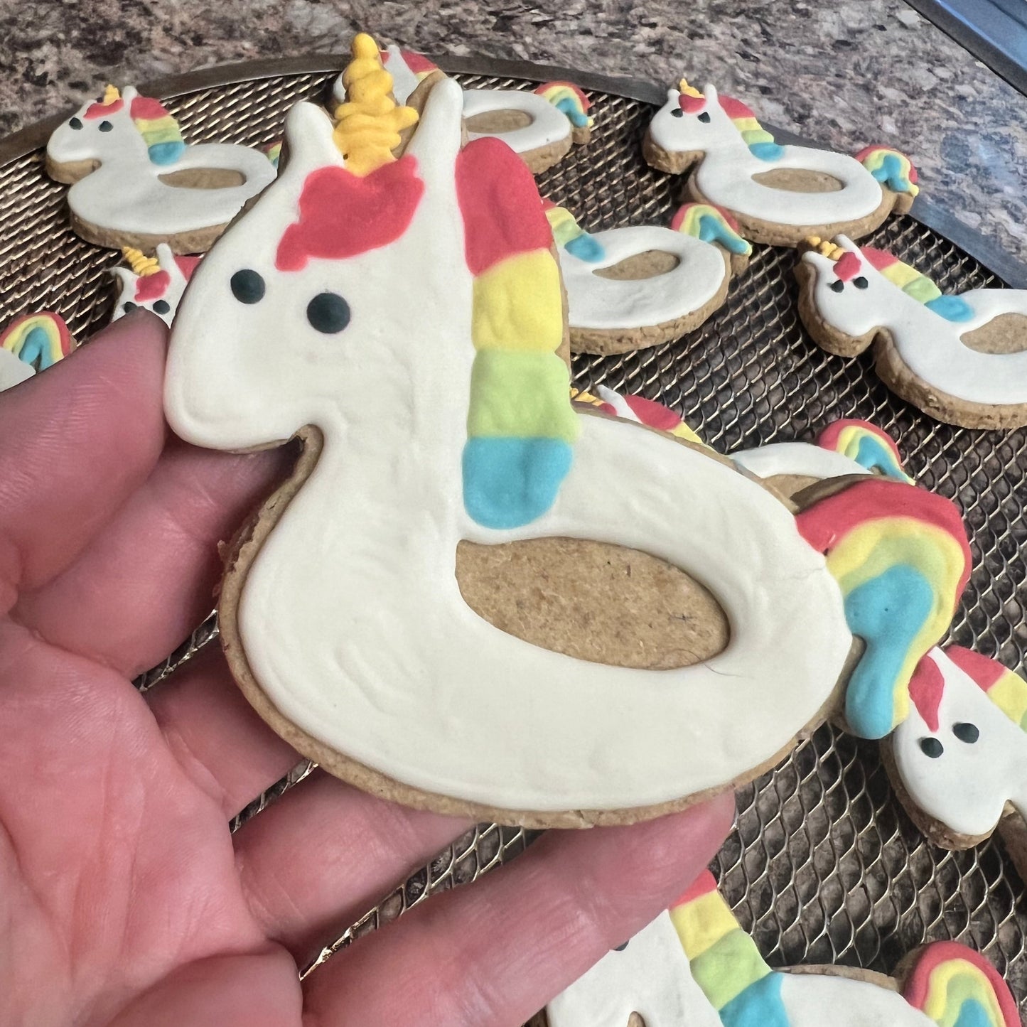 Monthly Subscription Box - Sherman's Barkery Cookies