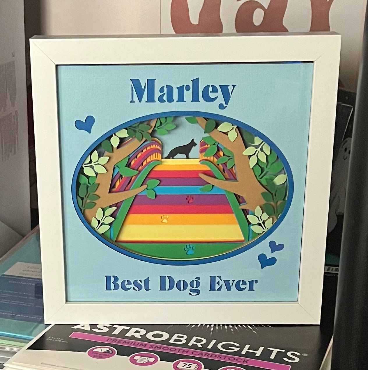 Pet Memorial Shadow Box - Large Rainbow Bridge Wooden and Glass Frame Custom Name Date and 300 Dog Breeds To Choose - A Kitty Too
