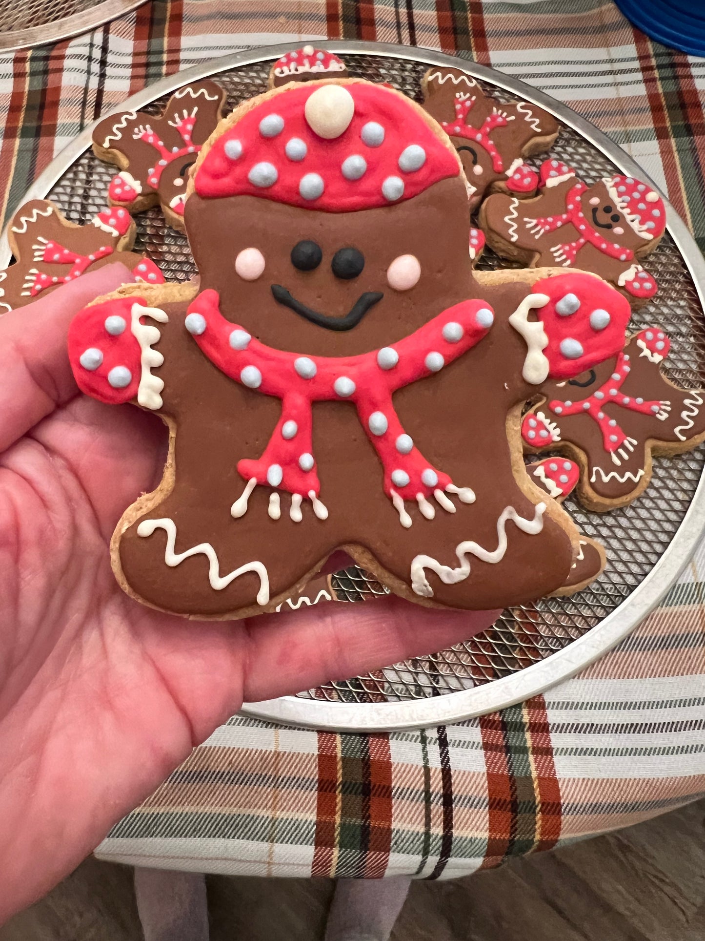 Dog Treats, Gingerbread Kid Frosted Peanut Butter Cookies, Limited Ingredient