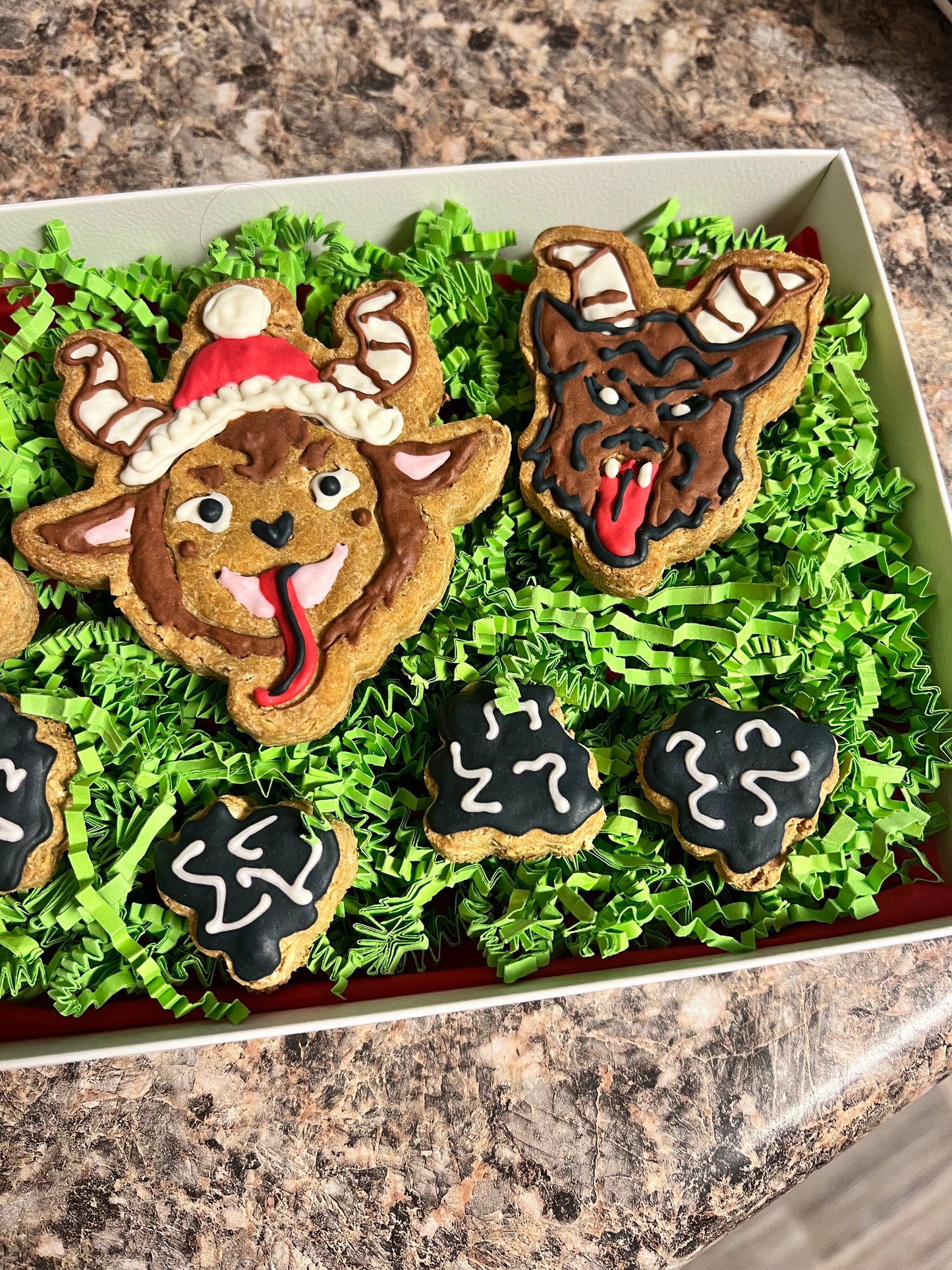 Frosted Gingerbread Dog Treats Box - Krampus Cookies