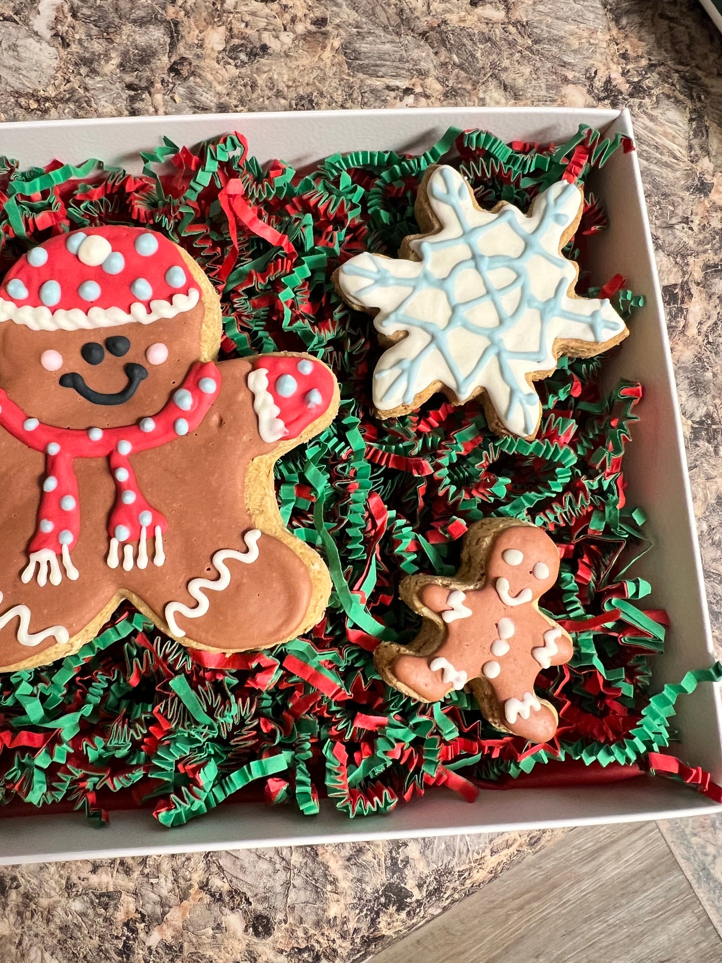 Frosted Gingerbread Dog Treats Box - Christmas Theme