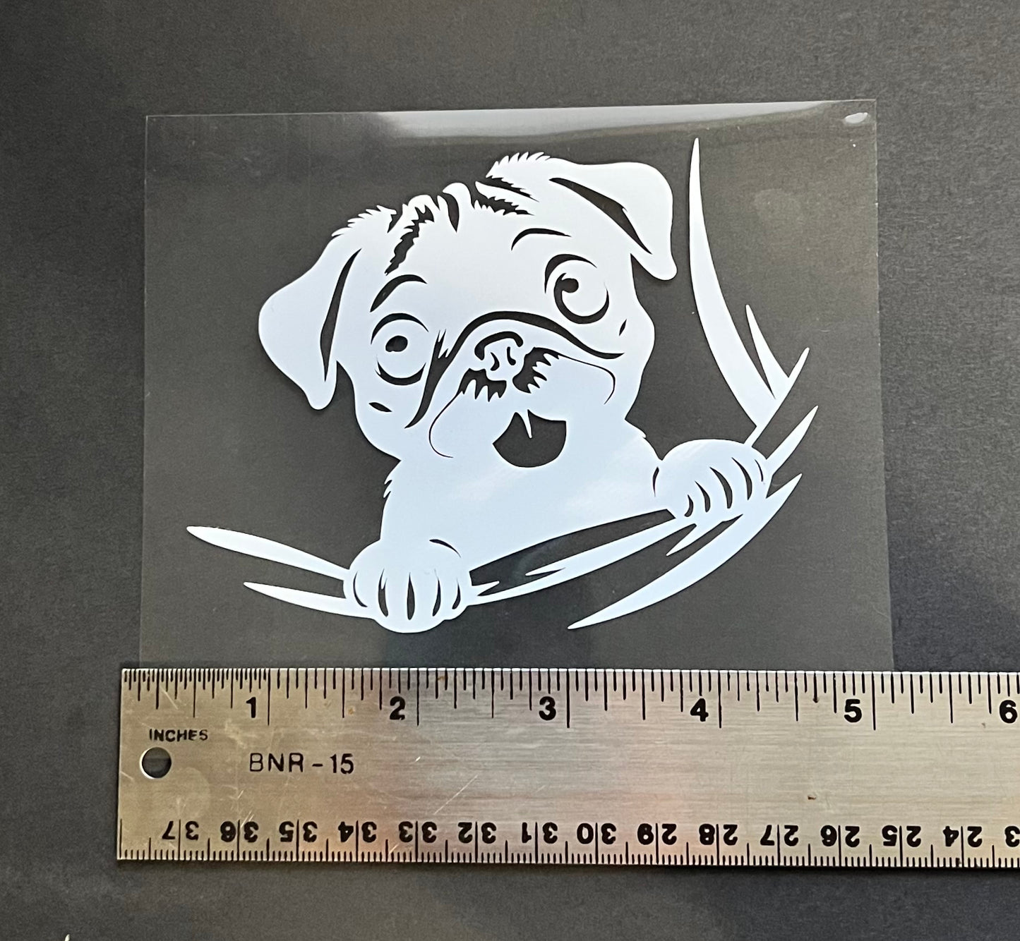 Decals - Peeking Pug Puppy