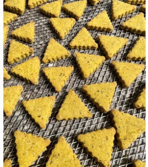 FLAVOR OF THE MONTH Pumpkin Pie - Limited Ingredient Dog Treats