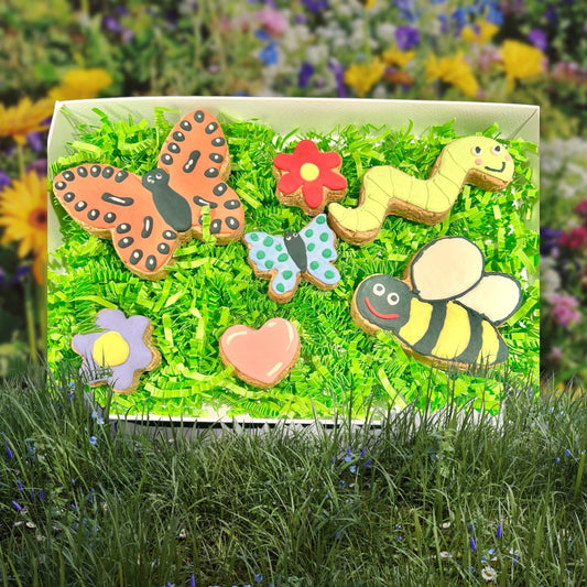 Frosted Cookie Box - Bugs Theme