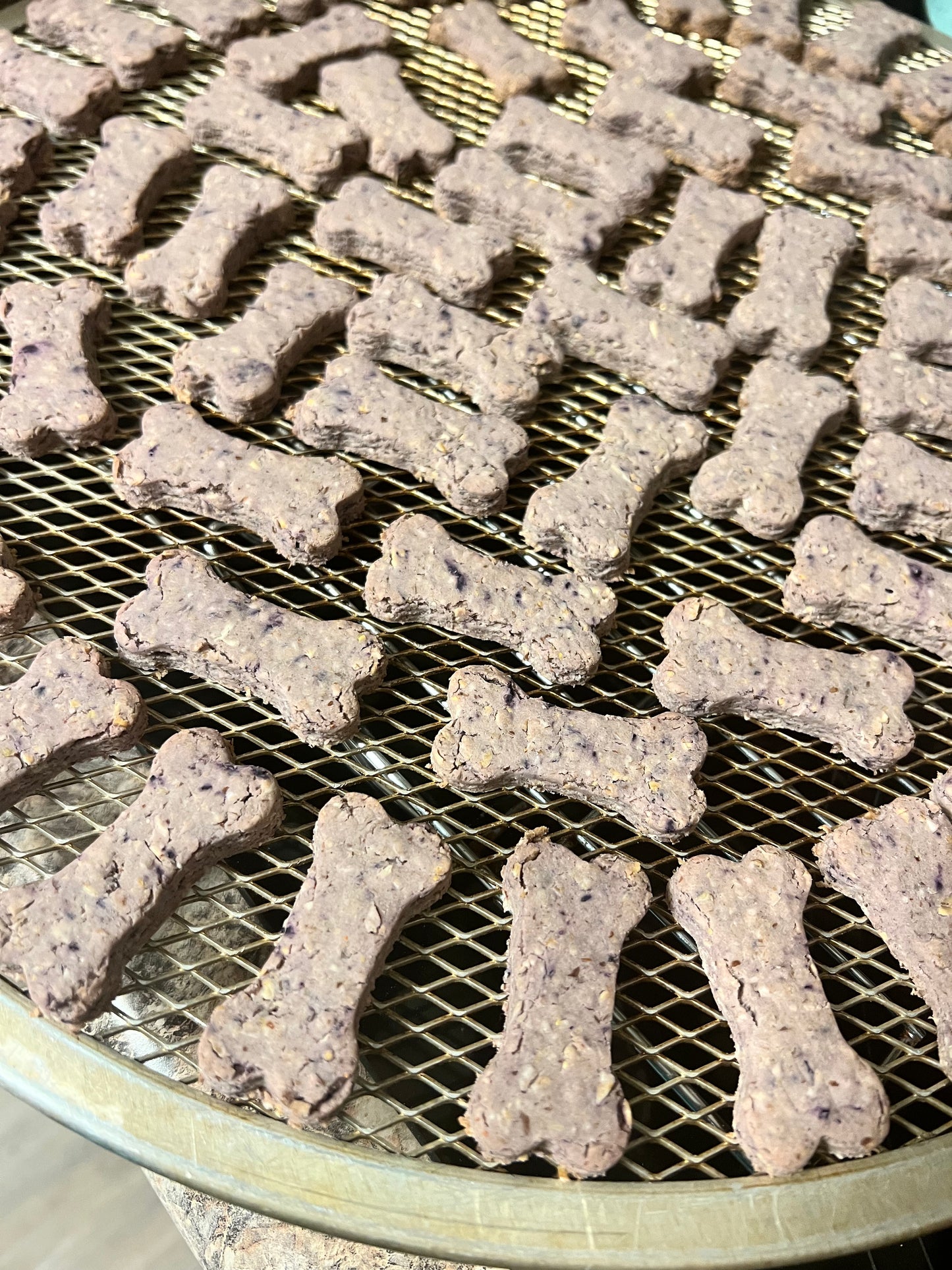 BLUE BERRY YOGURT Dog Treats - Homemade Limited Ingredient Natural Wheat Free A Portion of Proceeds Go To Pet Rescue