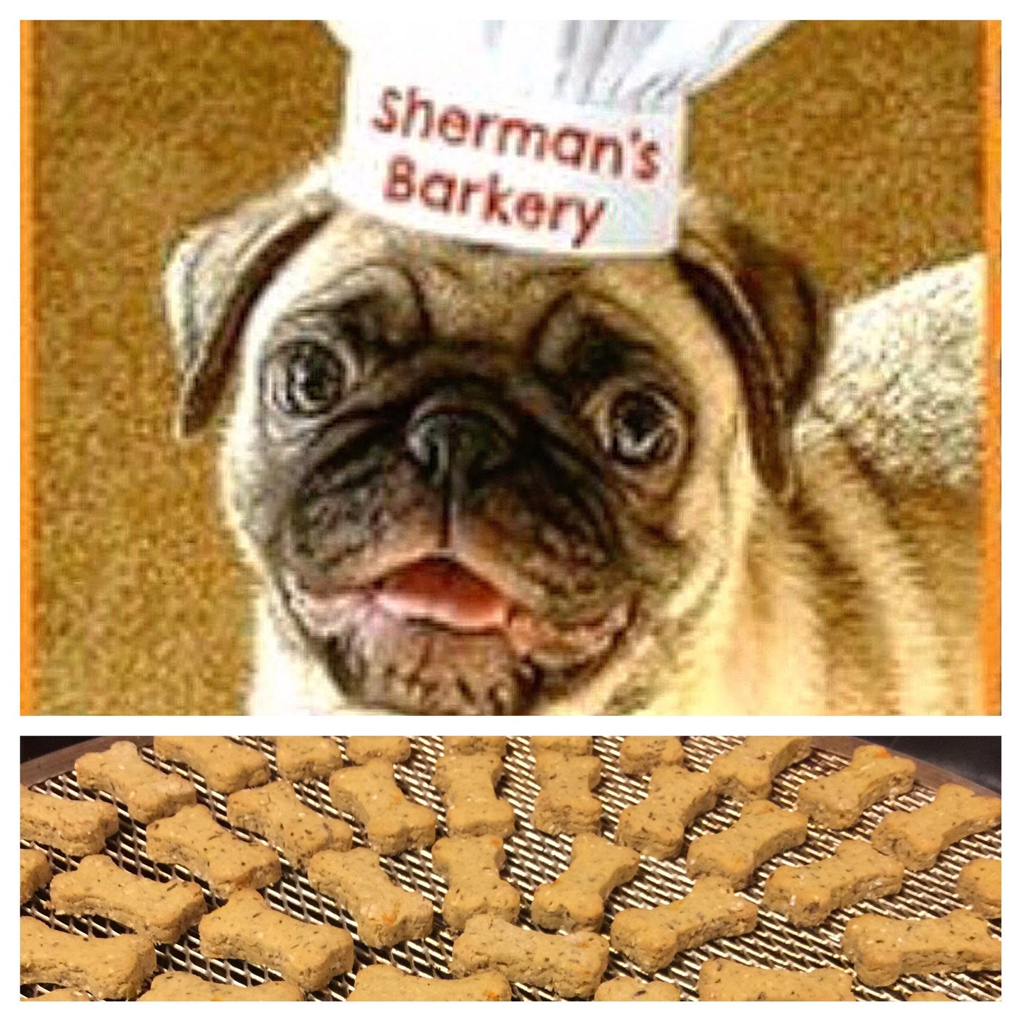 TEENY TINY BONES Dog Treats Limited Ingredient Various Flavors - Homemade Wheat Free - A Portion of Proceeds Go To Pet Rescue