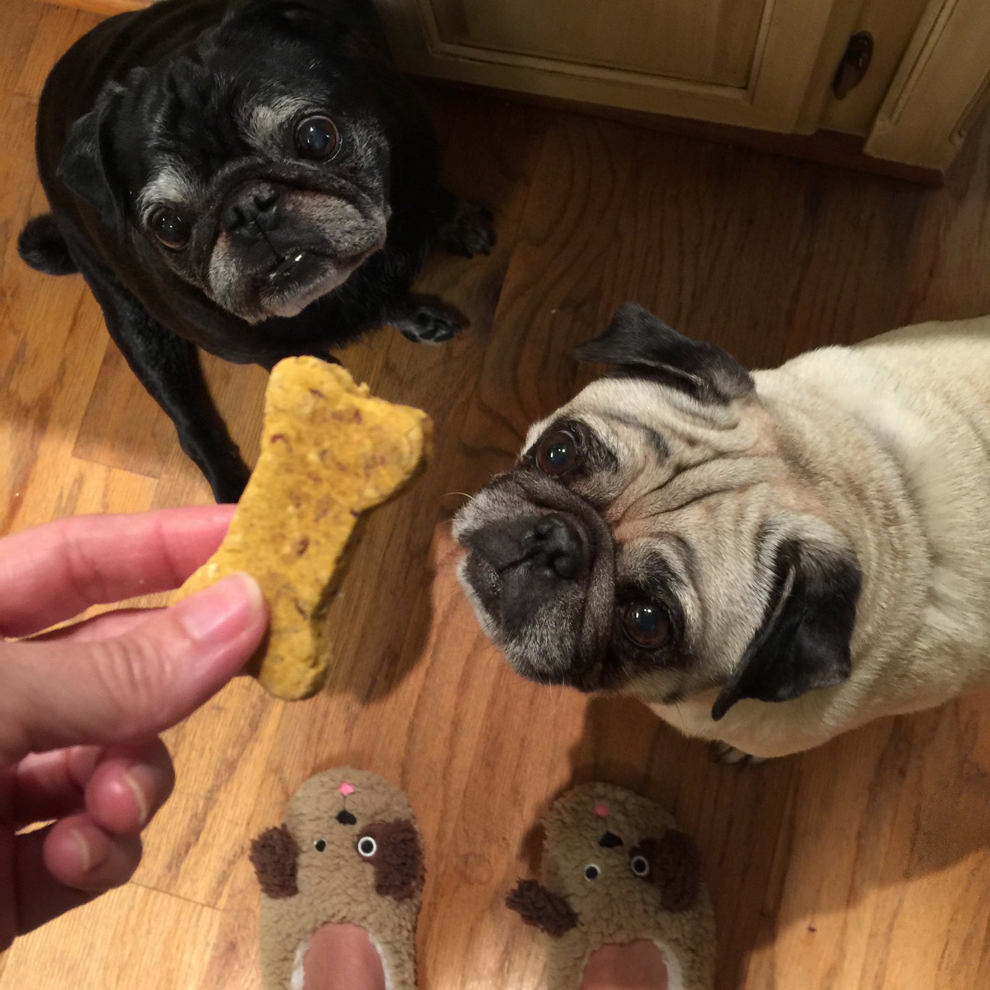 TEENY TINY BONES Dog Treats Limited Ingredient Various Flavors - Homemade Wheat Free - A Portion of Proceeds Go To Pet Rescue