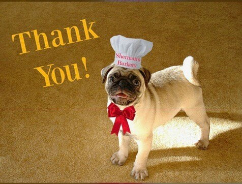 BLUE BERRY YOGURT Dog Treats - Homemade Limited Ingredient Natural Wheat Free A Portion of Proceeds Go To Pet Rescue