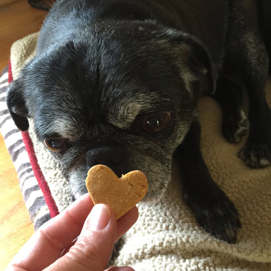 PEANUT BUTTER KISSES Dog Treats - Homemade Limited Ingredients Wheat Free - A Portion of Proceeds go to Pet Rescue