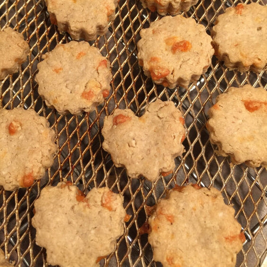 CHEESY NUM NUMS Dog Treats Homemade Limited Ingredient Natural Wheat Free - A Portion of Proceeds go to Pet Rescue