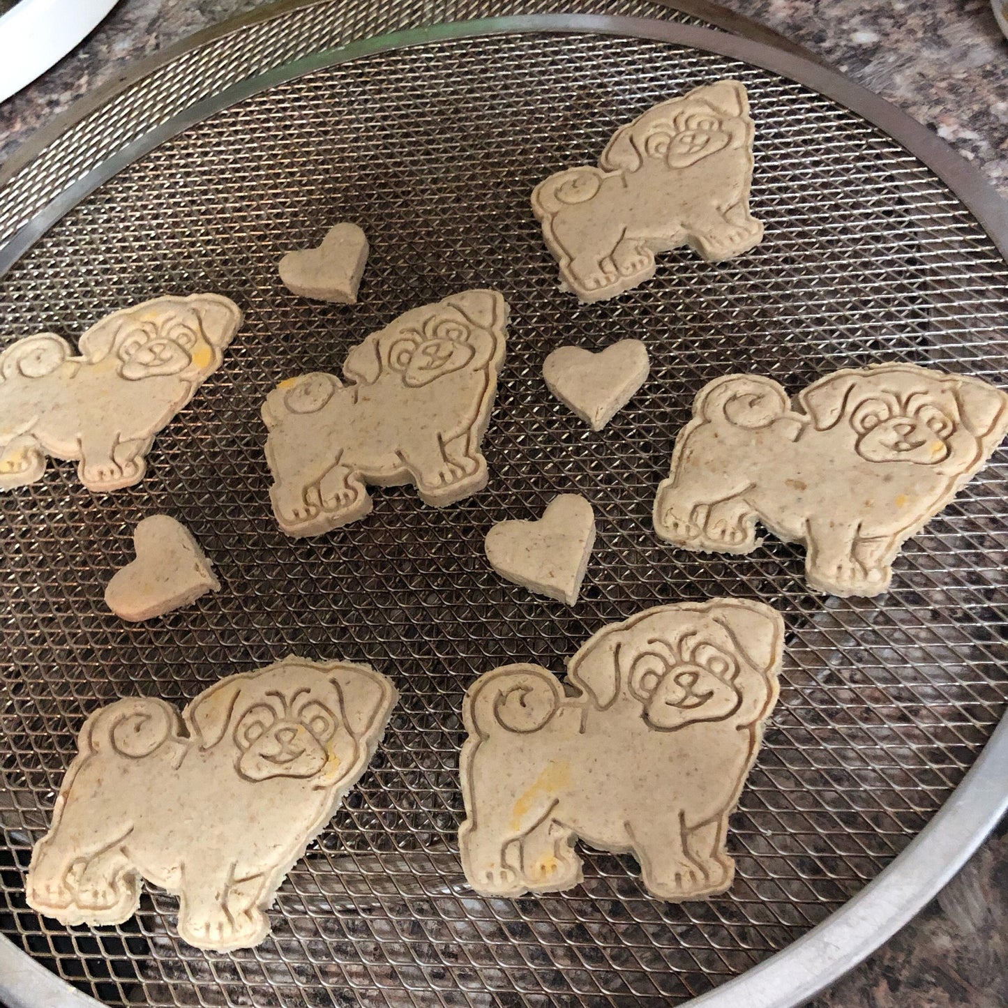 CHEESY NUM NUMS Dog Treats Homemade Limited Ingredient Natural Wheat Free - A Portion of Proceeds go to Pet Rescue