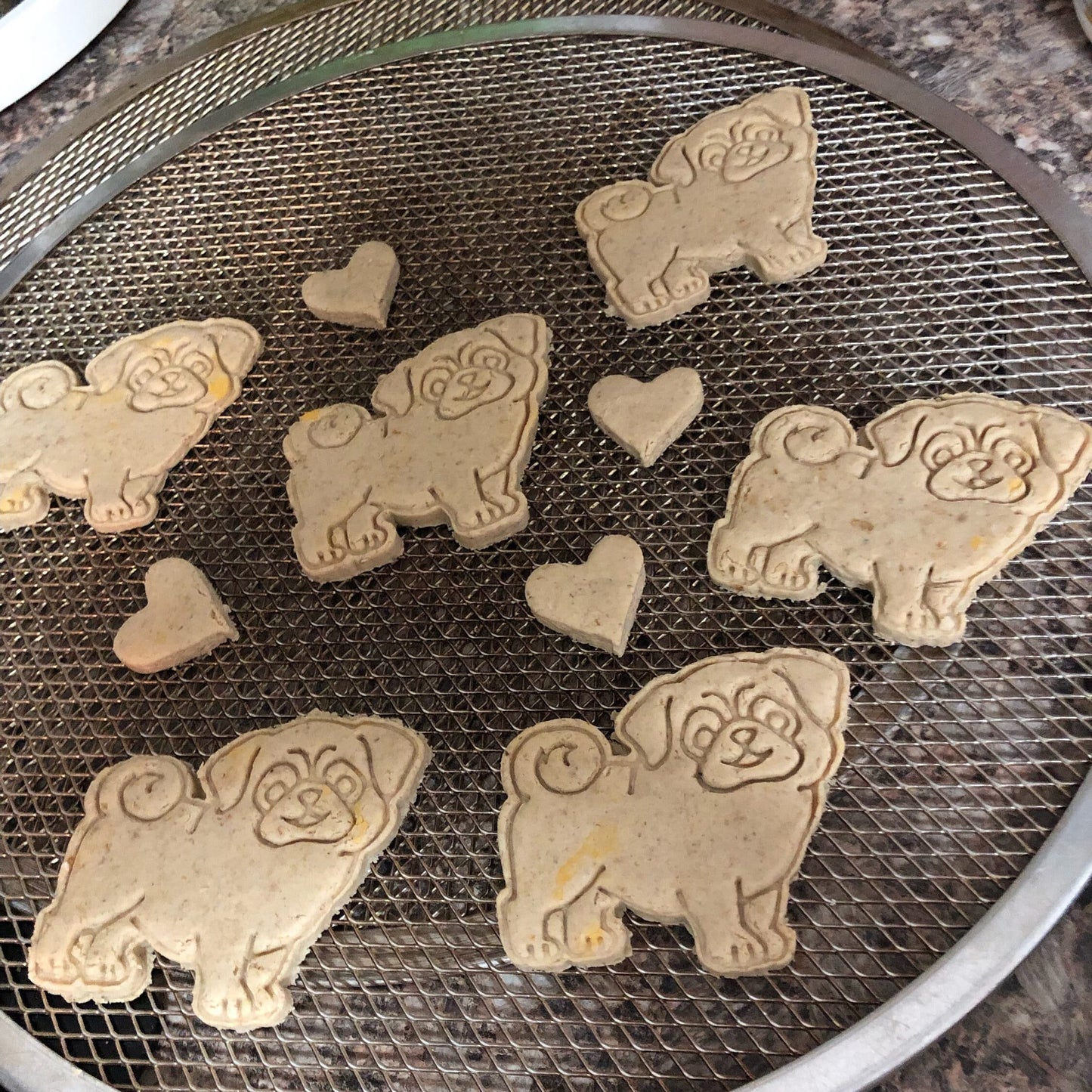 PIZZA Dog Treats - Homemade Limited Ingredients Natural Wheat Free - A Portion  of Proceeds Go To Pet Rescue