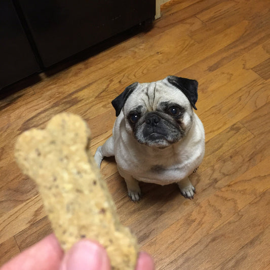 BLUE BERRY YOGURT Dog Treats - Homemade Limited Ingredient Natural Wheat Free A Portion of Proceeds Go To Pet Rescue