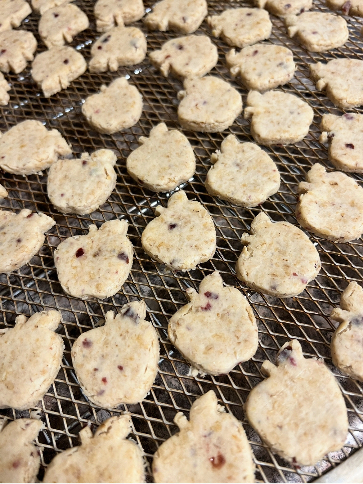 FLAVOR OF THE MONTH Apple Cranberry - Limited Ingredient Dog Treats