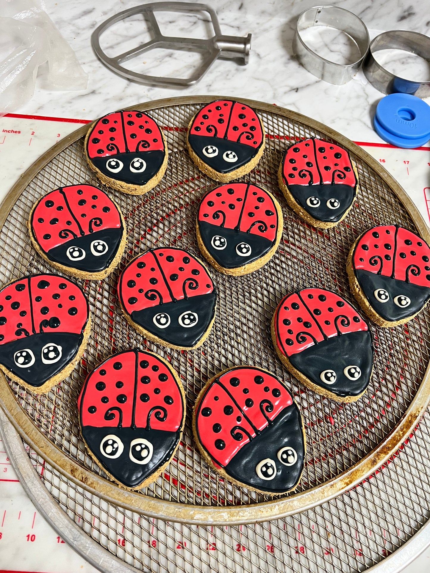 Dog Treats, Lady Bug Frosted Peanut Butter Cookies, Limited Ingredient
