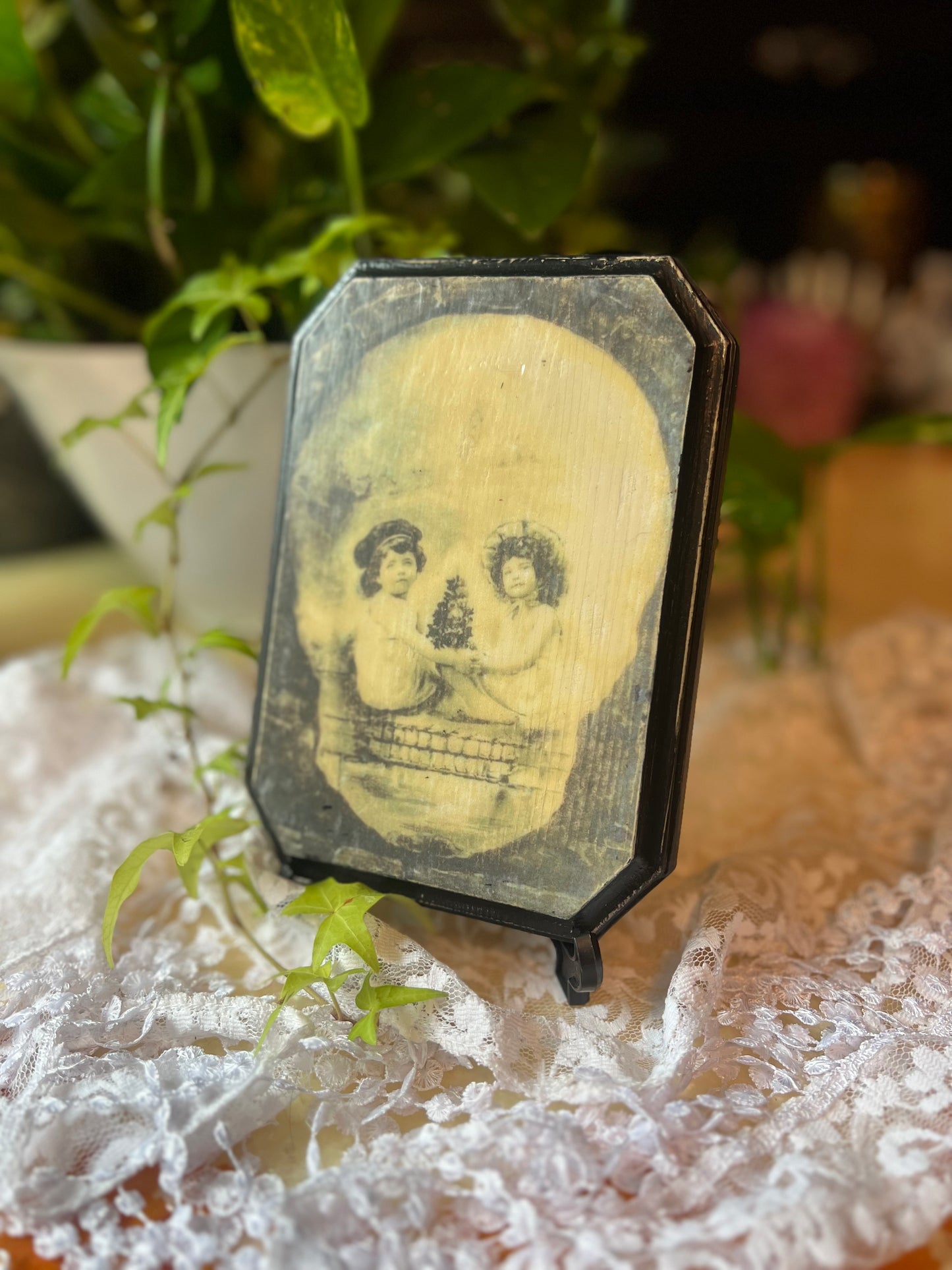 Dark Academia, Optical Illusion, Skull Photo, Wooden Plaque, Wall Hanging, Tabletop Display