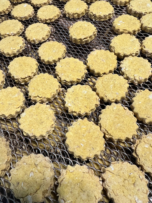 FLAVOR OF THE MONTH Pumpkin Pie - Limited Ingredient Dog Treats