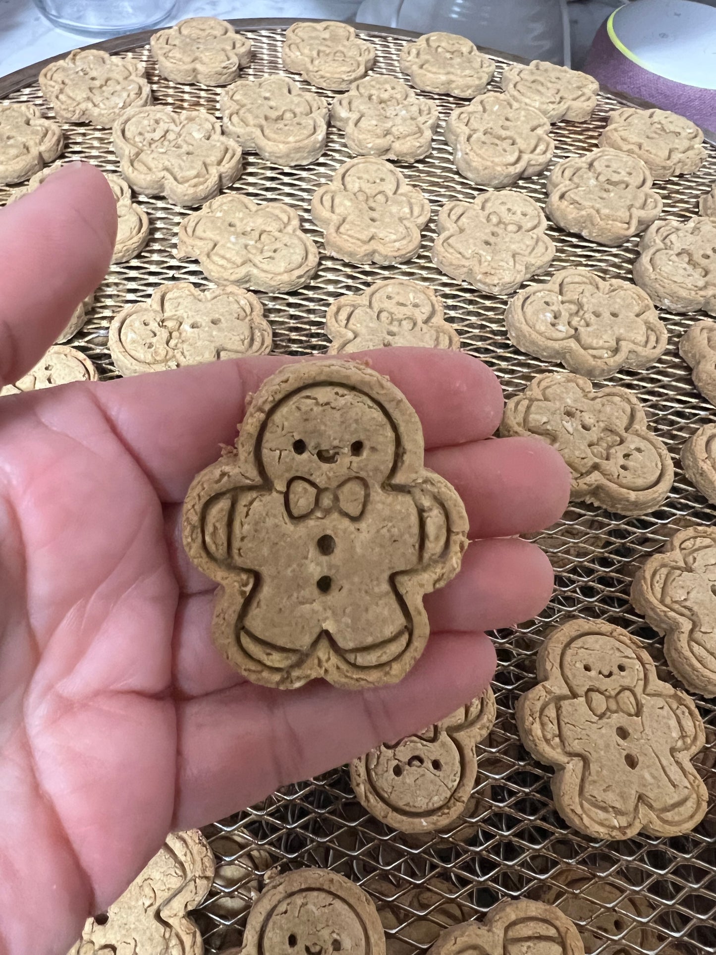 FLAVOR OF THE MONTH Gingerbread Men - Limited Ingredient Dog Treats