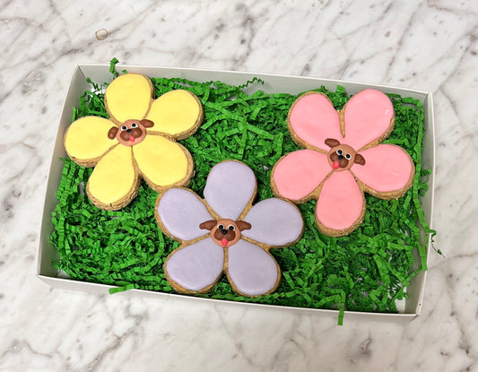 Frosted Cookie Box - Blooming Pugs Cookie Box
