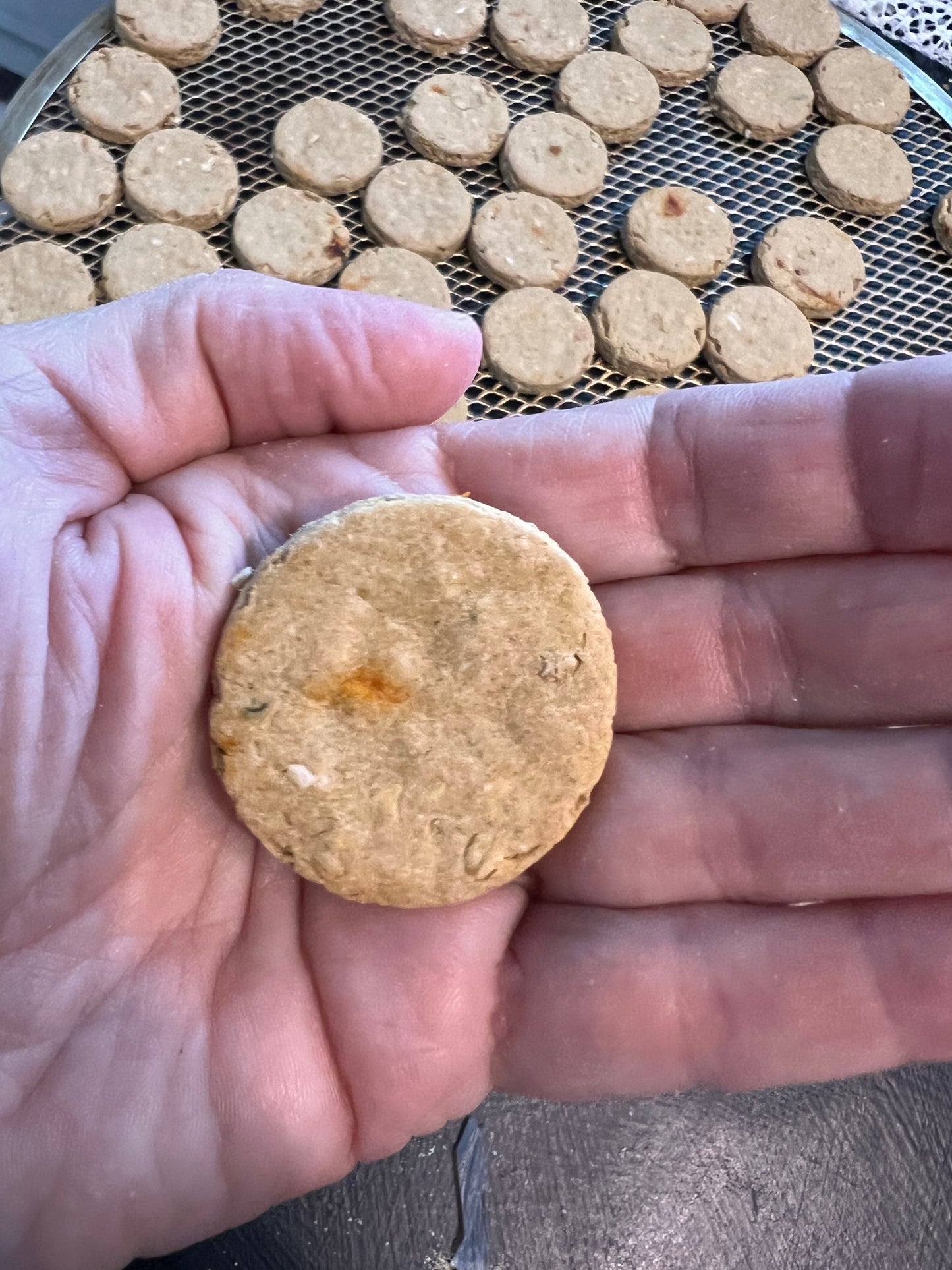 FLAVOR OF THE MONTH Cheeseburger Cheeseburger - Limited Ingredient Dog Treats