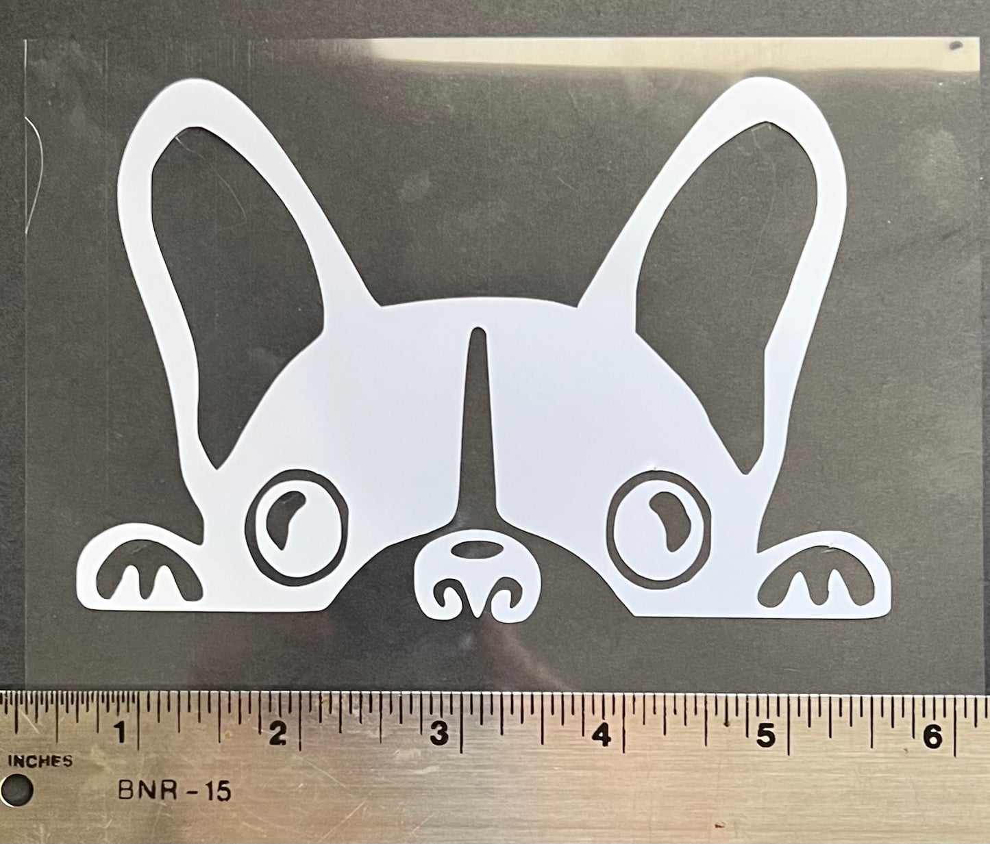 Decals - Peeking Boston Terrier