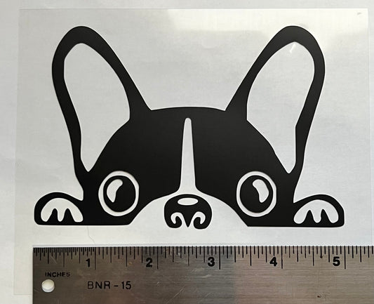 Decals - Peeking Boston Terrier