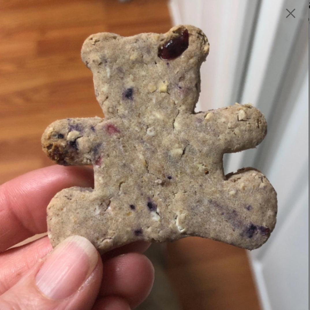 FLAVOR OF THE MONTH Teddy Bearies - Limited Ingredient Dog Treats