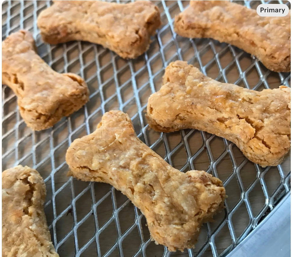FLAVOR OF THE MONTH Philly Cheesesteaks - Limited Ingredient Dog Treats