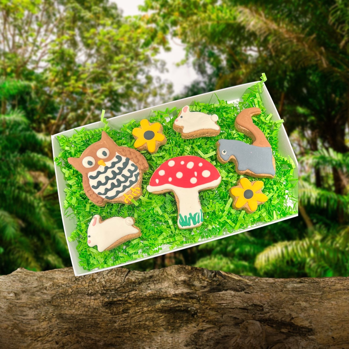 Frosted Dog Treats Box - Woodland Creature Theme