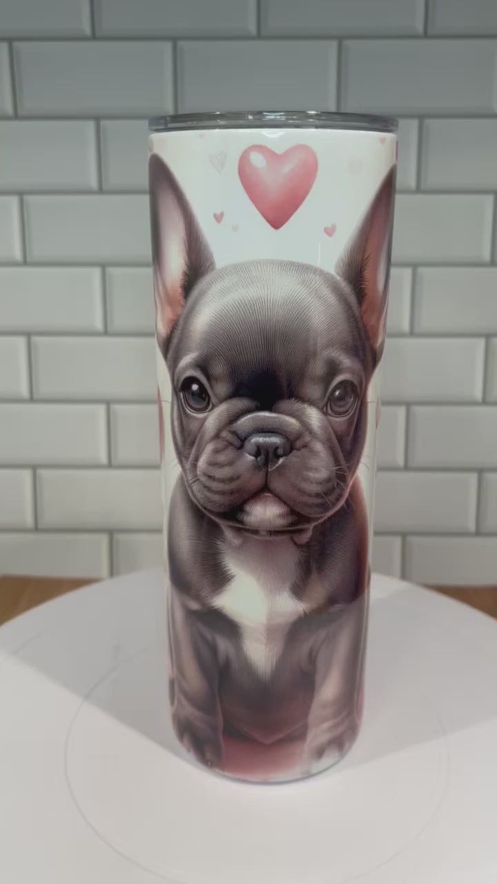 20 oz Stainless Steel Tumbler, Frenchie Bulldog Puppy Design – Pug