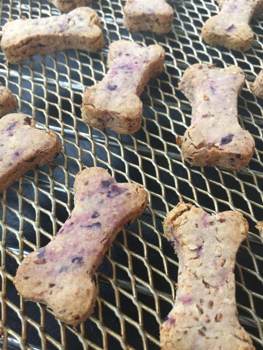 FLAVOR OF THE MONTH Blueberry Yogurt - Limited Ingredient Dog Treats