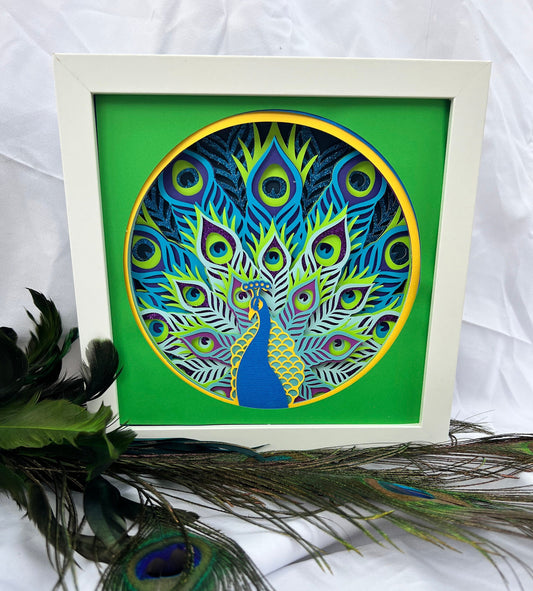 PEACOCK Shadowbox 8 inch by 8 inch Tabletop or Wall Display